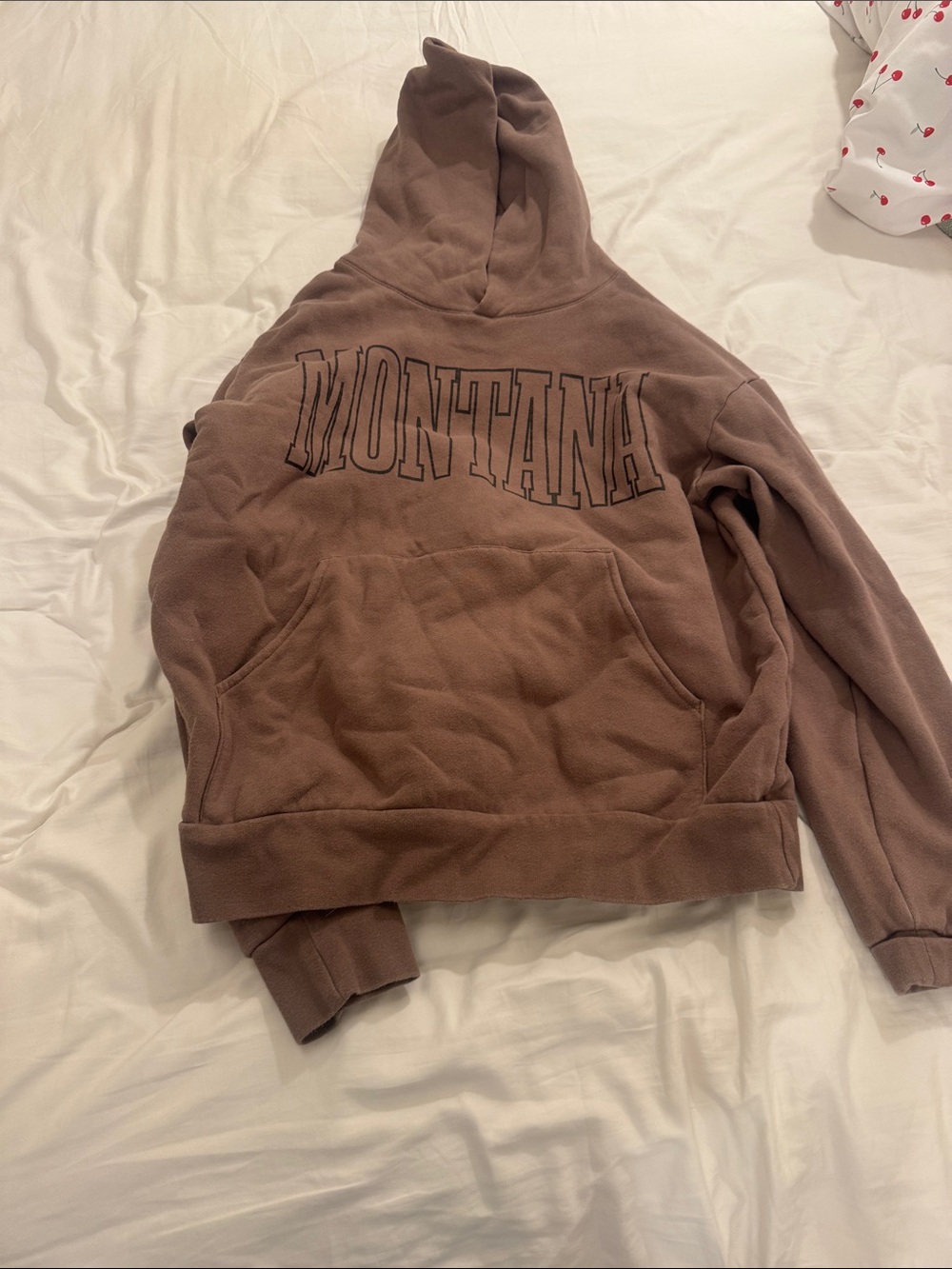 Montana Logo Hoodie in Dusty Brown